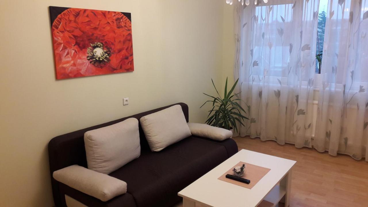 Grazinos Apartamentai Panevėžys Buitenkant foto